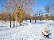 公園の雪景色